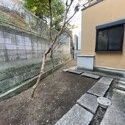 文京区千駄木１丁目 庭