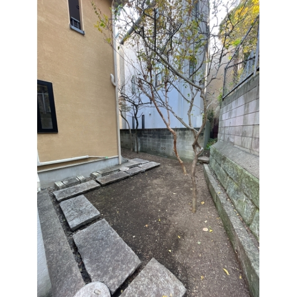 文京区千駄木１丁目 庭