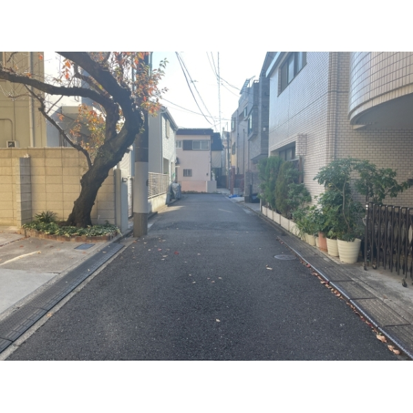 文京区千駄木１丁目 前面道路