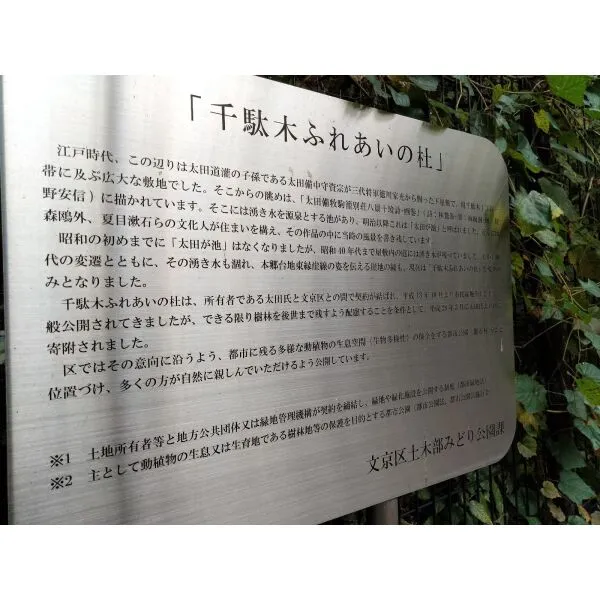 文京区千駄木１丁目 千駄木ふれあいの杜（公園）まで約90m（徒歩2分）