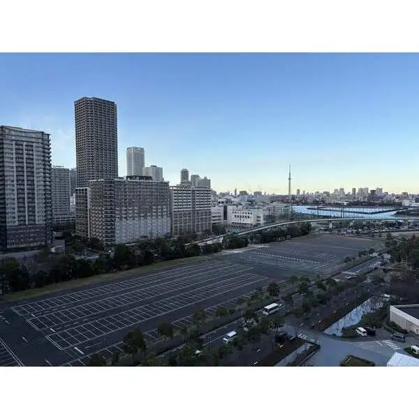 ザ・パークハウス晴海タワーズクロノレジデンス その他画像