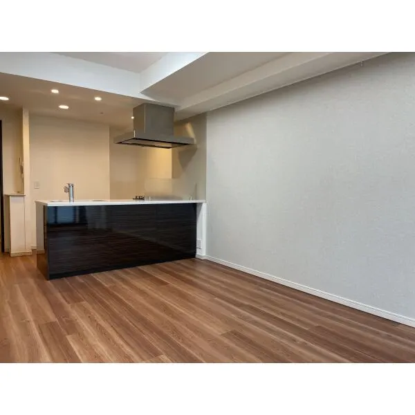 リビオ人形町日本橋浜町グリーンテラス LDK