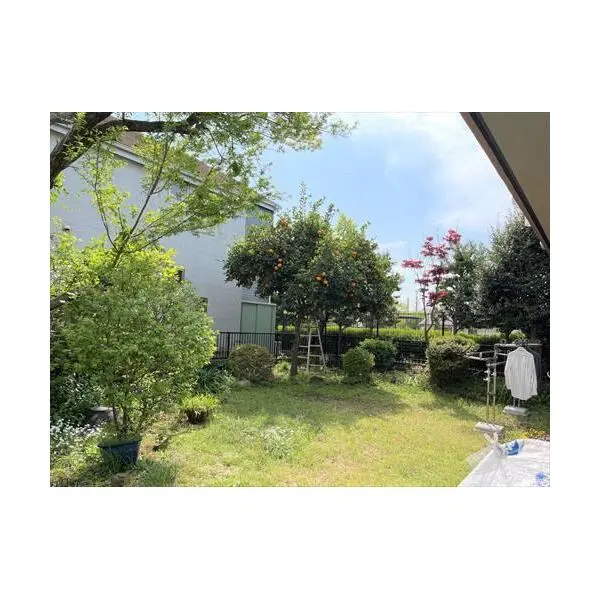 杉並区成田西３丁目 その他画像