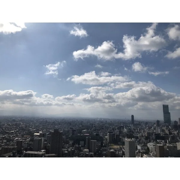 ザ・上本町タワー その他画像