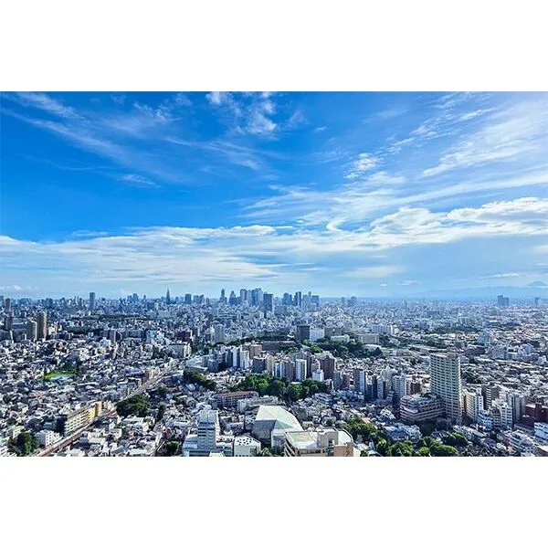 ブリリアタワー池袋 南向きの高層階から望む、開放感あふれる眺望。