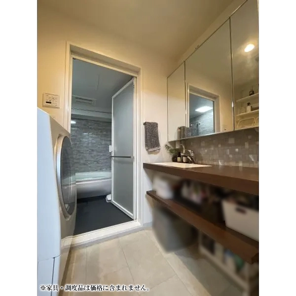 日商岩井市川マンション 洗面室