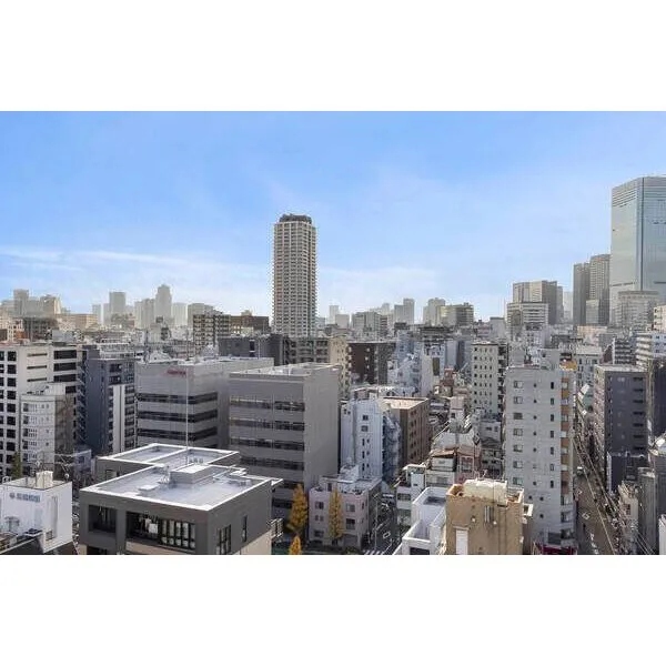 トーキョー・オーディアム日本橋浜町 15階建て最上階、北西向き角住戸