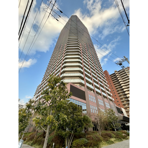 阿波座ライズタワーズフラッグ４６ 外観