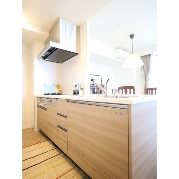 ブランズタワー・ウェリス心斎橋ＮＯＲＴＨ その他画像