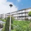 希望ヶ丘グリーンハイツ 1981年11月築。総戸数51戸の3階建てマンションです。