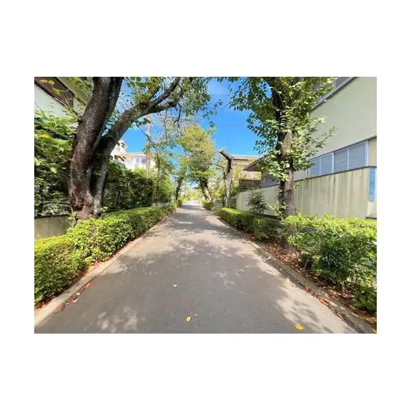 川崎市麻生区王禅寺東２丁目 その他画像