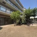 サンヴェール調布・多摩川 専用庭：南向きで陽当たりに恵まれます(撮影年月：2026年06月)