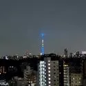 アトラスアベニュー文京大塚 眺望：東側バルコニーからの眺望 夜景(ズームあり)
