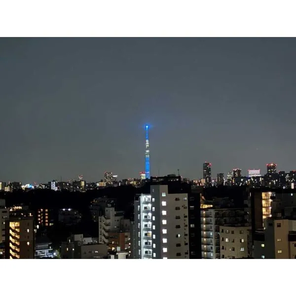 アトラスアベニュー文京大塚 眺望：東側バルコニーからの眺望 夜景(ズームあり)