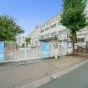 ル・アピカ成城 世田谷区立千歳小学校（小学校）まで約480m（徒歩6分）