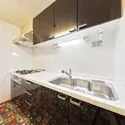 江戸川ハイツ 使いやすいシステムキッチンです