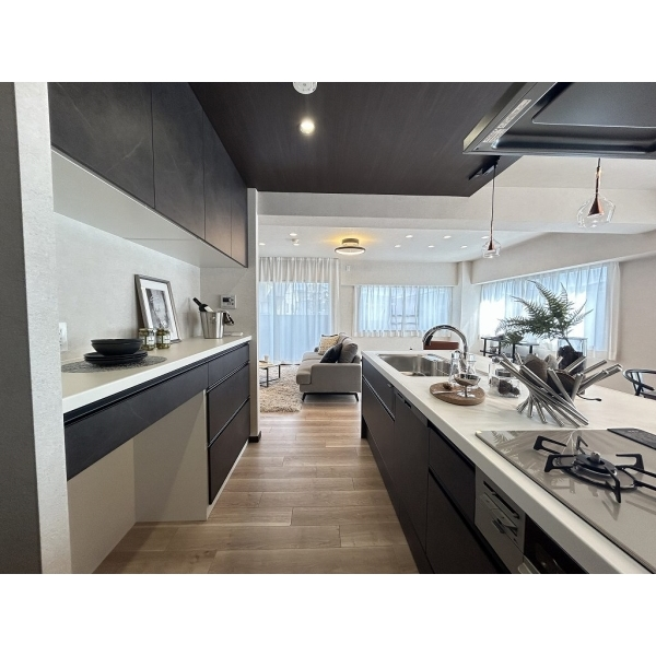 グレーシィ一条 その他画像