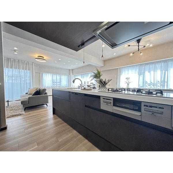 グレーシィ一条 その他画像