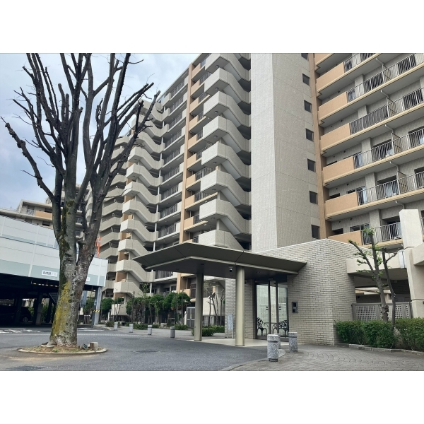 グランヴィータ光が丘公園 その他画像