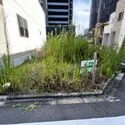 名古屋市中区平和２丁目 庭