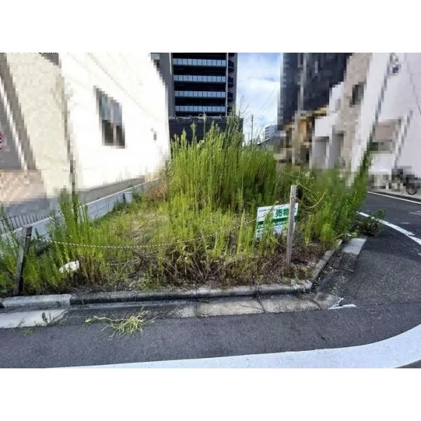 名古屋市中区平和2丁目 庭