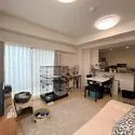 セルテシティオ亀有 南東向きの明るいリニングダイニング