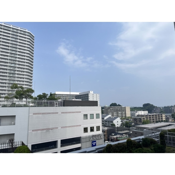 ニューシティ東戸塚タワーズシティパークタワー東戸塚 その他画像