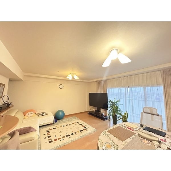 ライオンズガーデン御影 その他画像