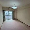 ディックピア多摩川 洋室