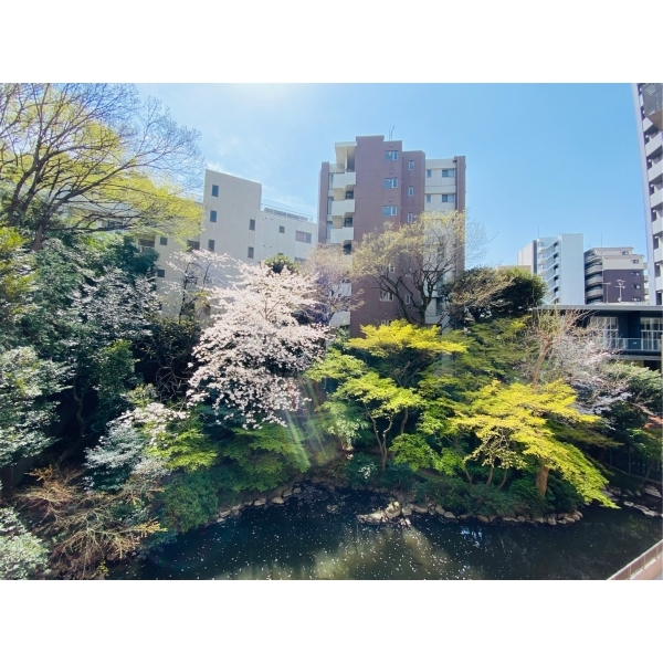 トーア駒込 その他画像