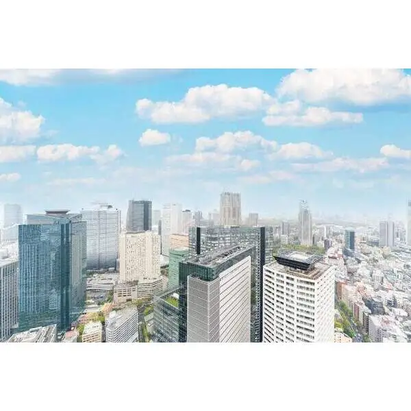 ザ・パークハウス西新宿タワー６０ その他画像