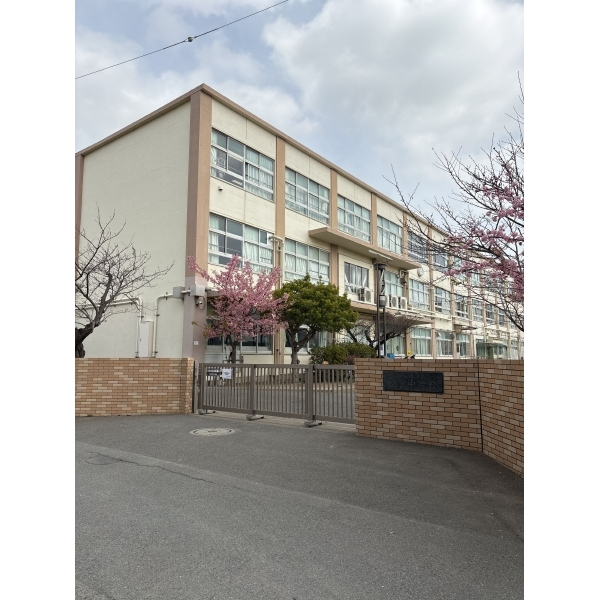 茅ヶ崎市常盤町 茅ヶ崎市立松浪中学校(中学校)まで約870m(徒歩11分)