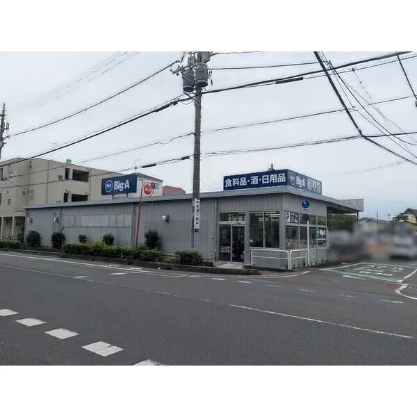 さいたま市中央区上落合3丁目 ビッグエーさいたま上落合店/約150m