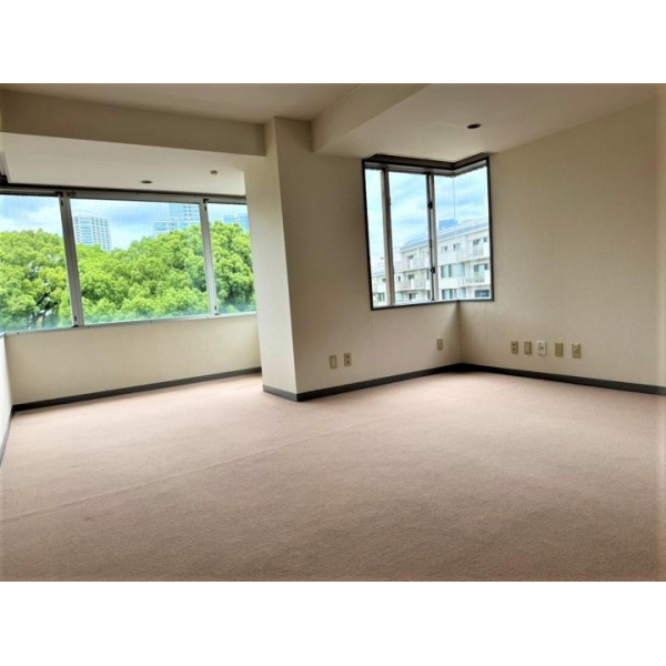 伊皿子マンション その他画像