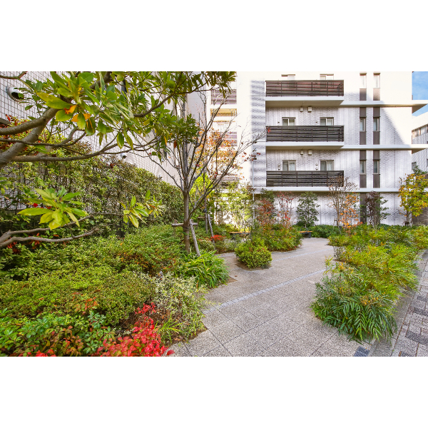 クラッシィハウス湘南藤沢 敷地内緑地