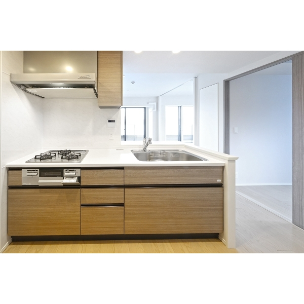 サンリヤン横浜鶴見ブランシエラ その他画像