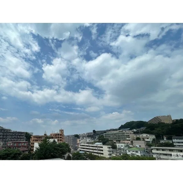 キャッスル百合ヶ丘 その他画像