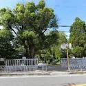 茨木市稲葉町 その他画像