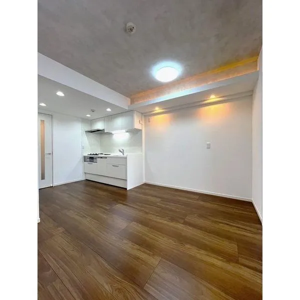 ダイナシティ高円寺 間接照明が空間を彩ります。キッチンは壁付けタイプのため、住空間を有効活用することができます。