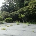 鎌倉市御成町 その他画像