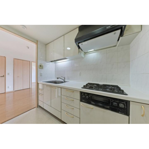 デュオガーデン柏見晴らしの丘 その他画像