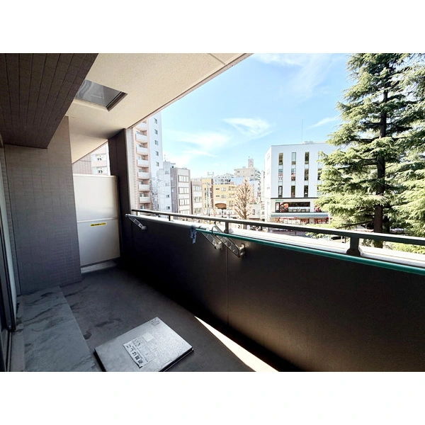 レ−ベンハイム常盤台一丁目 その他画像