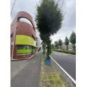 川崎市中原区上平間 その他画像