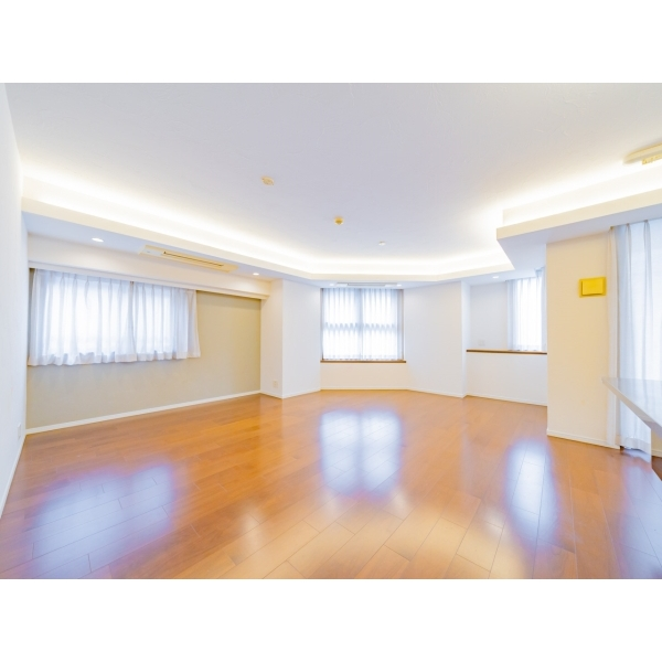 グラーサ銀座イースト その他画像