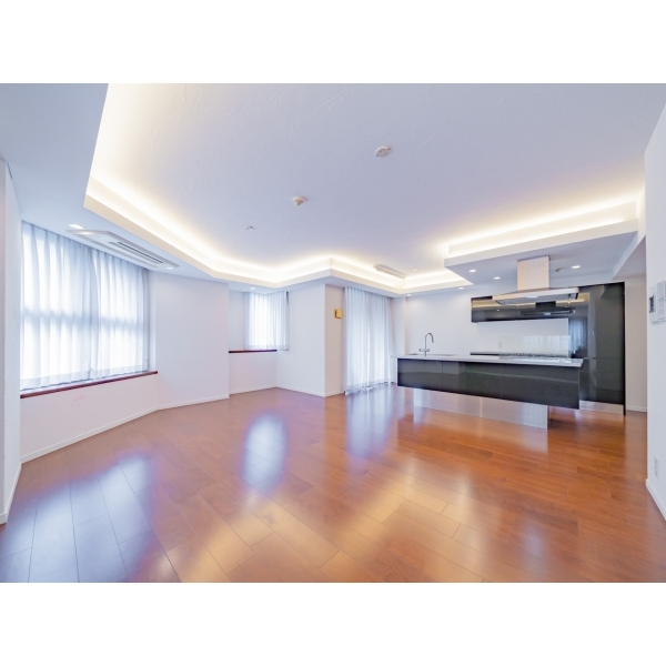 グラーサ銀座イースト その他画像