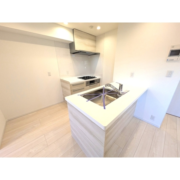 ライオンズマンション滝野川 その他画像