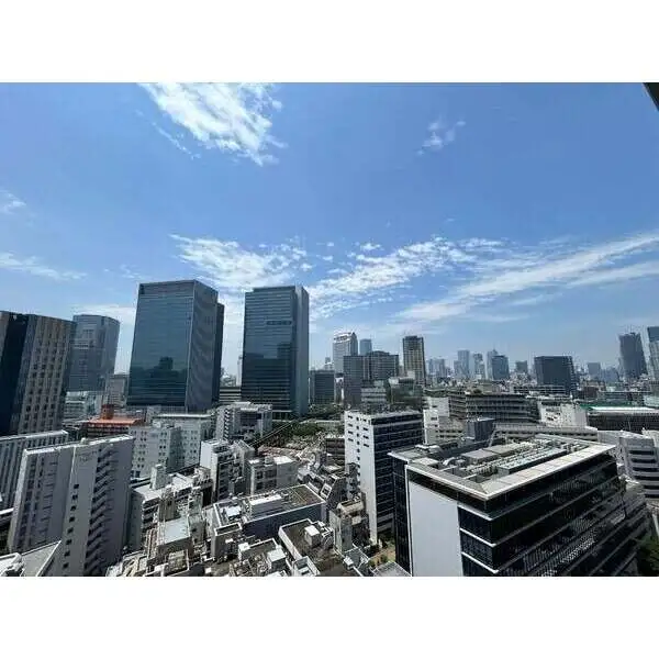 ブランズタワー芝浦 その他画像