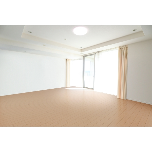 西宮マリナパークシティ・港のまちハーバーヴィラ南棟 その他画像