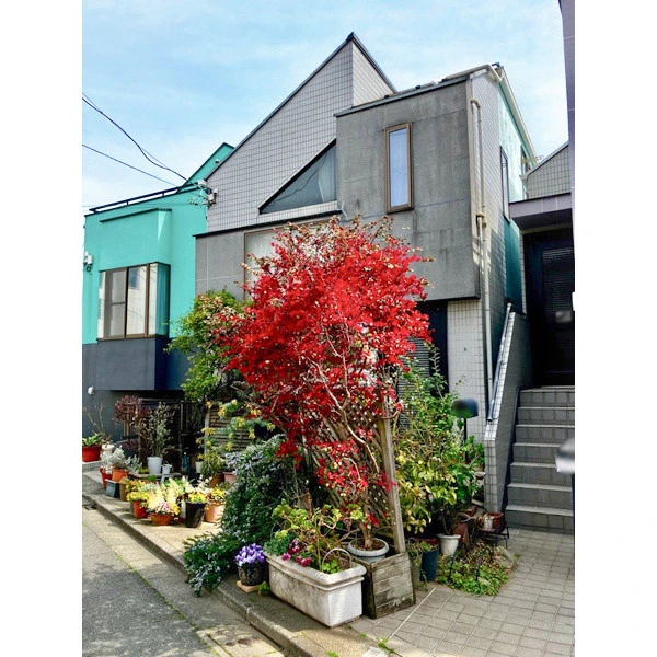 世田谷区駒沢４丁目 その他画像