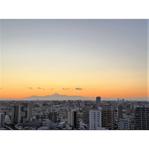 ザ・パークハウス戸越公園タワー その他画像